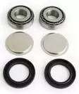 EPI Rear Swing Arm Repair Kit - Mönkijän swingin laakerit - 906071 - 1