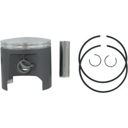 PISTON ASSY PLAT POL STD - Mönkijän männät - 878741 - 1