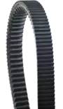 Carlisle ultimax ua411 variaattorinhihna - Mönkijän variaattorinhihnat - 252 - 1