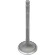 VALVE, EXHAUST GG-2020-EX - Mönkijän venttiilit - 879344 - 1