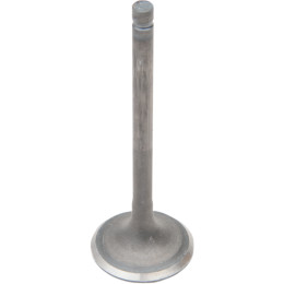 VALVE, EXHAUST GG-2020-EX - Mönkijän venttiilit - 879344 - 1