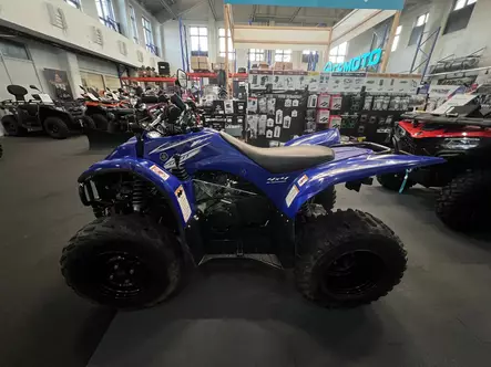 Yamaha YFM 450 Wolverine - Käytetyt mönkijät - 192065 - 2