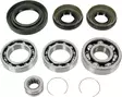 FRT WHL DIFF BRG KIT, SUZ - Mönkijän Etuperän ja takaperän laakerit - 874865 - 2