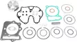 PISTON KIT W/GASKETS - Mönkijän männät - 880236 - 2