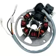 STATOR MUD POLARIS/ETON - Mönkijän staattorit - 877916 - 1