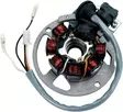 STATOR MUD POLARIS/ETON - Mönkijän staattorit - 877916 - 2