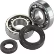 BEARINGS,CRANK POL 400CC - Mönkijän moottorin laakerit - 879037 - 2