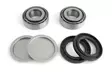 EPI Rear Swing Arm Repair Kit - Mönkijän swingin laakerit - 906077 - 1