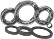 BEARING,FR WHEEL DIFF-HON - Mönkijän Etuperän ja takaperän laakerit - 874849 - 2