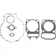 GASKET KIT COMPLETE POL - Mönkijän moottorin tiivisteet - 1000016079 - 1