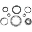 RR WHL DIFF BRG KIT, YAM - Mönkijän Etuperän ja takaperän laakerit - 874869 - 1